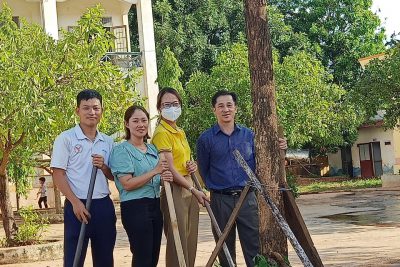 Hoạt động trồng cây nhân ngày sinh nhật Bác 19/5 của thầy trò Trường Tiểu học Lê Hồng Phong